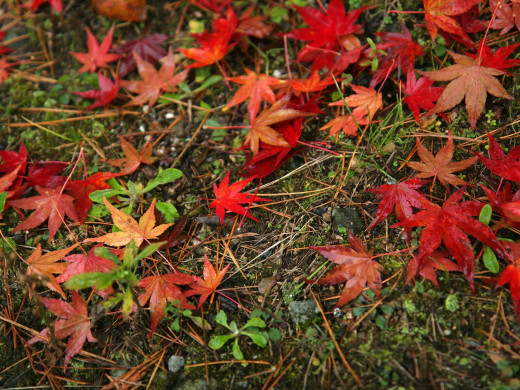37094 (a): :1600x1200
